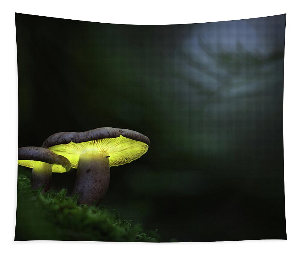 Artistic Tapestry featuring the photograph Glowing mushroom lanterns by Dirk Ercken