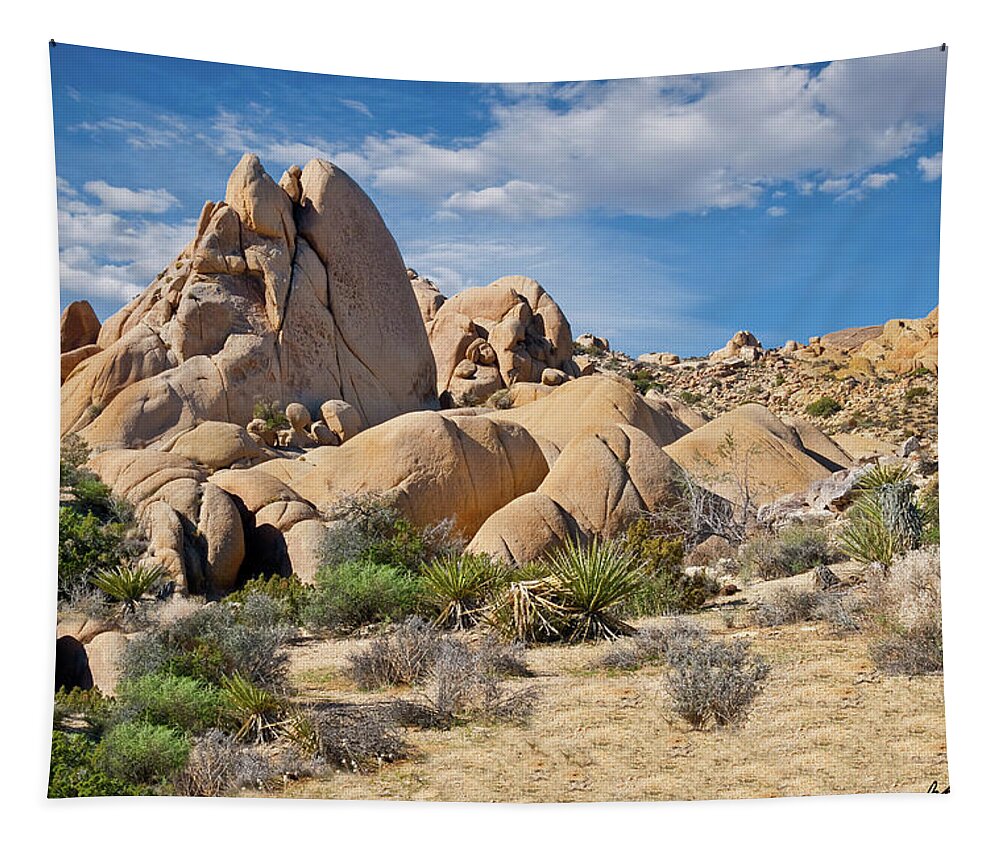 Arid Climate Tapestry featuring the photograph Gneiss Rock Formations by Jeff Goulden