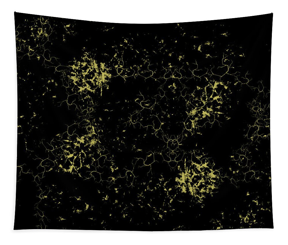 Black-and-gold Tapestry featuring the digital art Golden Dream 6 by Brandi Untz