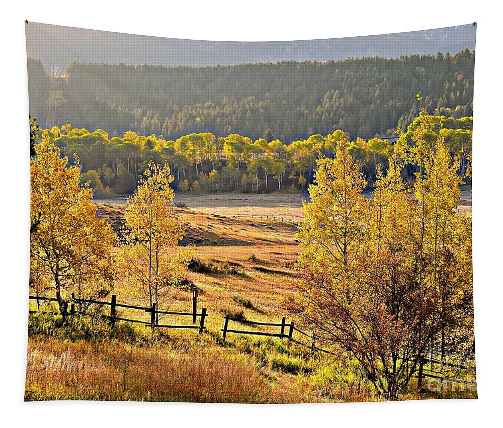 Fall Tapestry featuring the photograph Golden Hour by Dorrene BrownButterfield