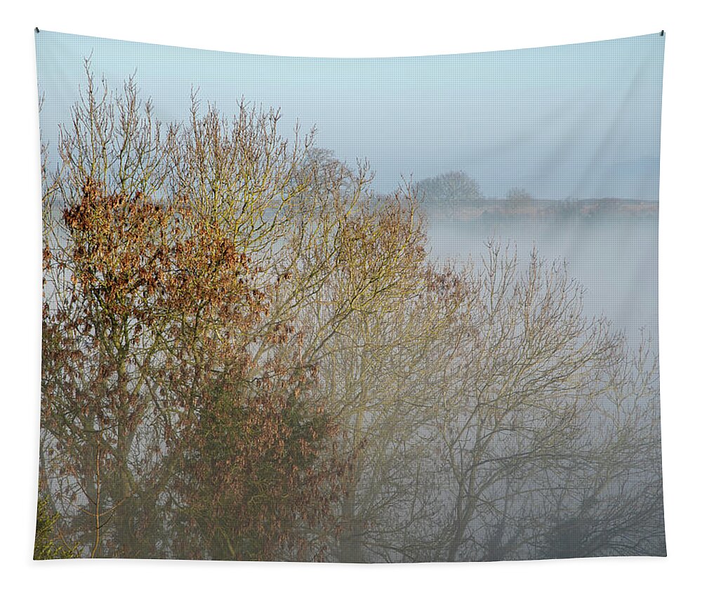 Winter Tapestry featuring the photograph Golden leaves by Mark Hunter