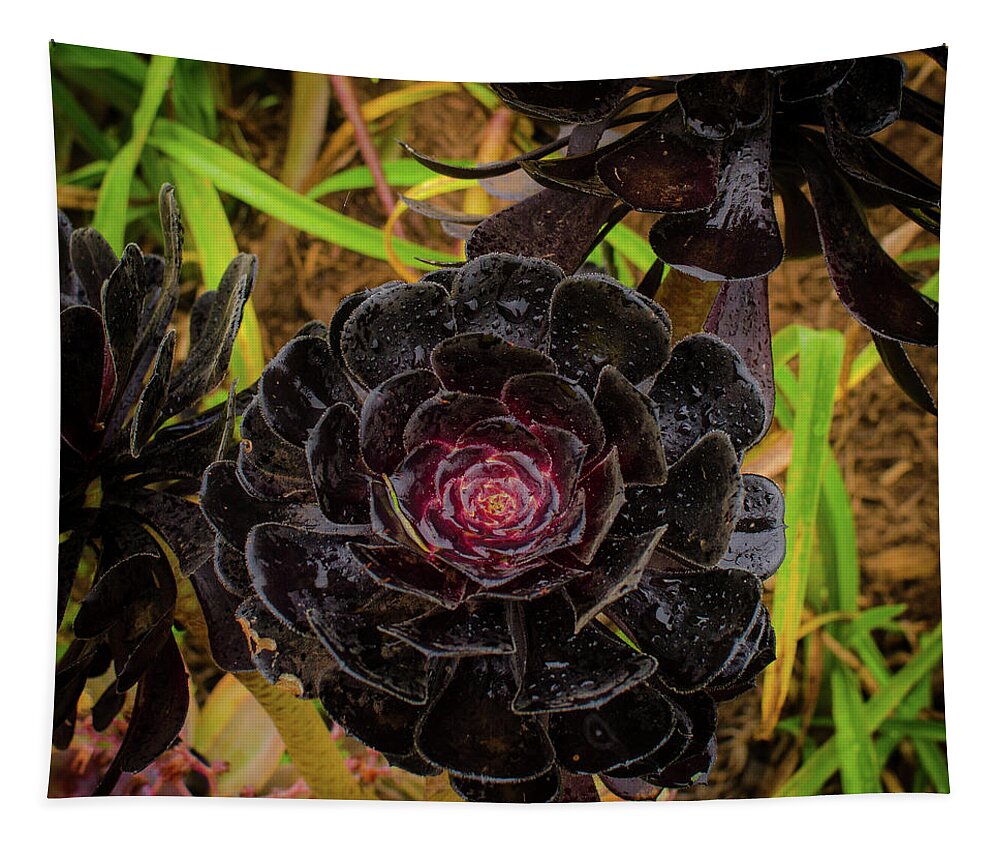 Hawaii Tapestry featuring the photograph Goth Succulent by Jeff Phillippi