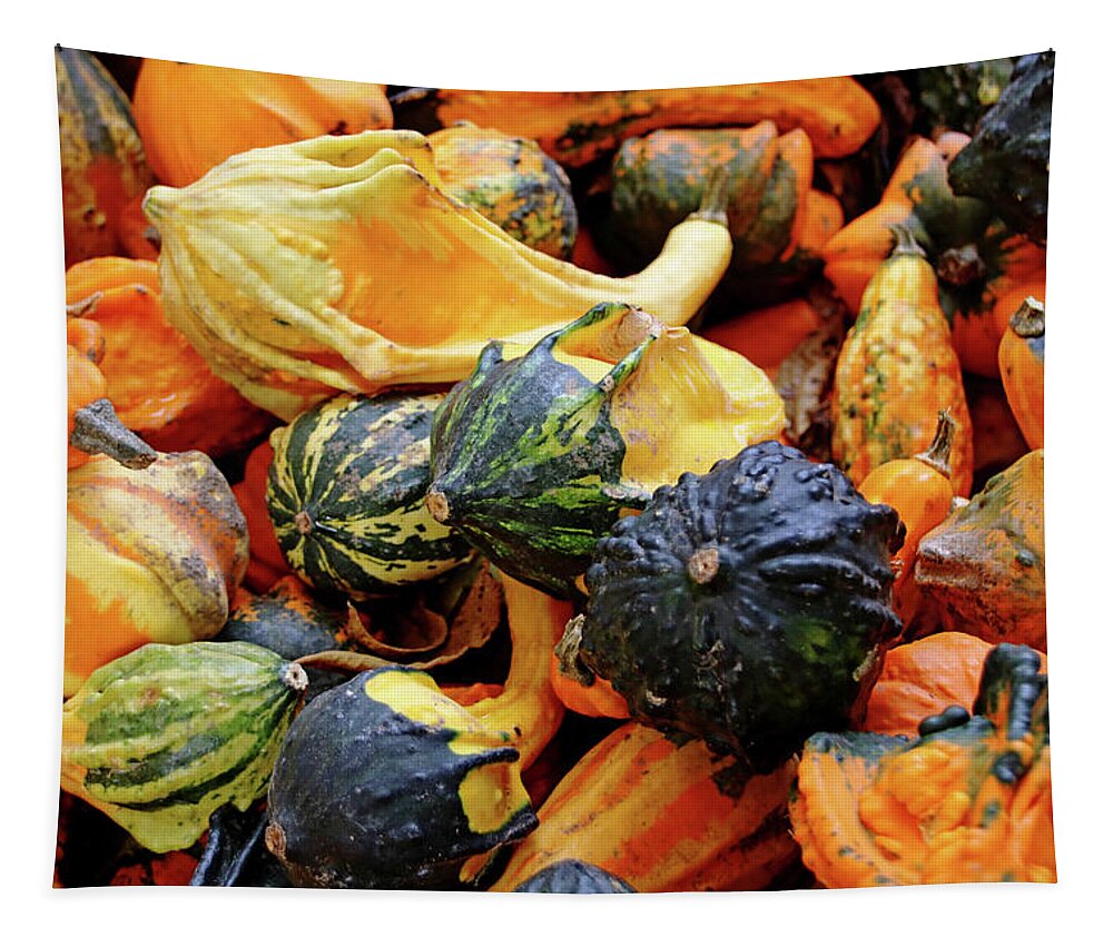 Gourds Tapestry featuring the photograph Gourds by Debbie Oppermann