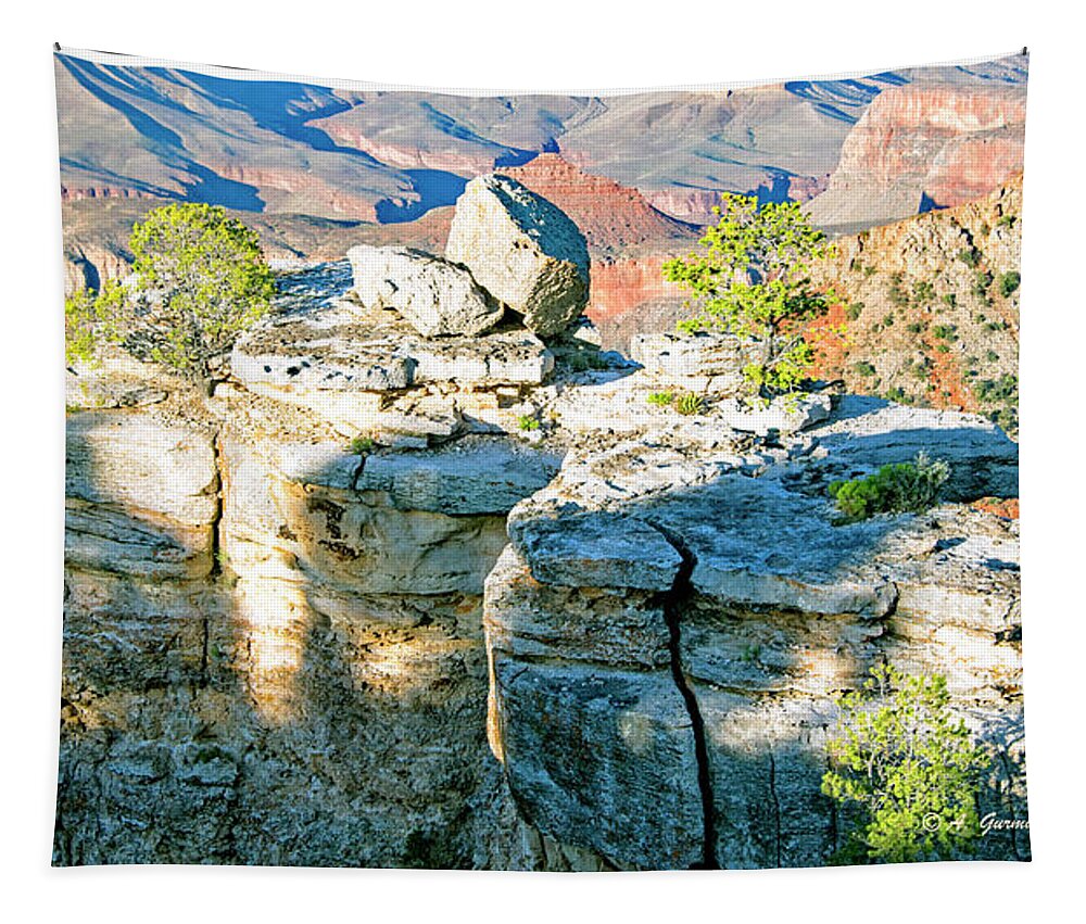 Grand Canyon Tapestry featuring the photograph Grand Canyon Rock Formations, Arizona by A Macarthur Gurmankin