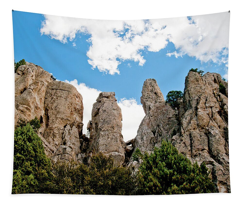 Almo Pluton Tapestry featuring the photograph Granite Pinnacles, Idaho by William Mullins