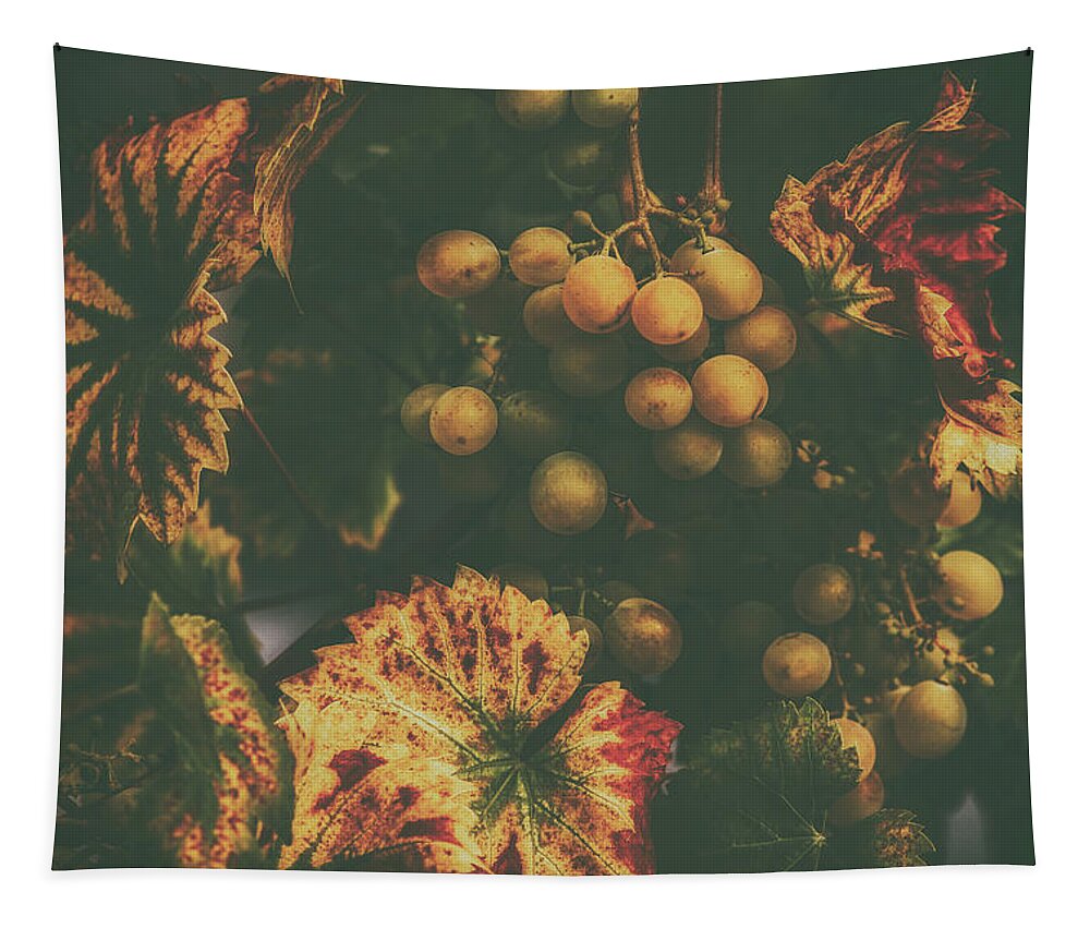 Grapes Tapestry featuring the photograph Grapes On The Vine by Mountain Dreams