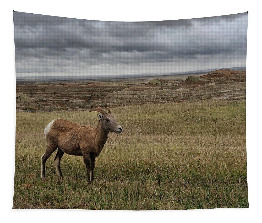 Wildlife Tapestry featuring the photograph Grasslands South Dakota United States of America by Gerlinde Keating - Galleria GK Keating Associates Inc