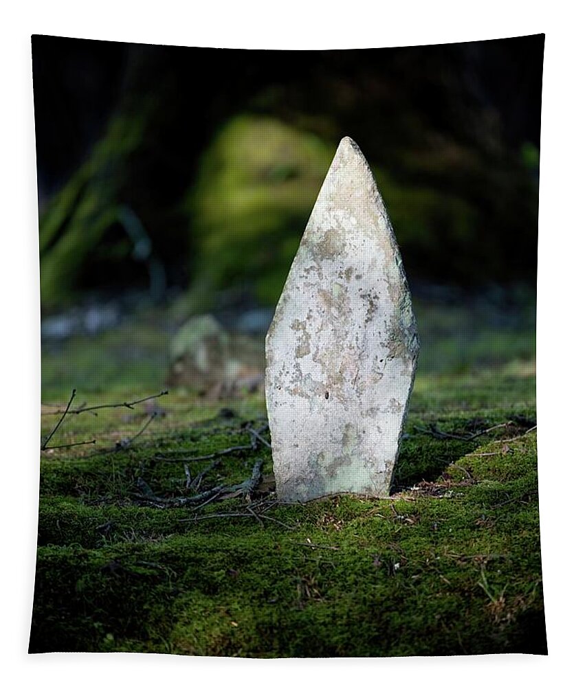 Gravestone Tapestry featuring the photograph Gravestone Under a Tree by T Lynn Dodsworth