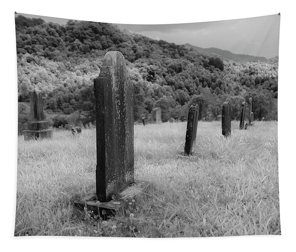 Graveyard Tapestry featuring the photograph Graveyard 3 by Catherine Avilez