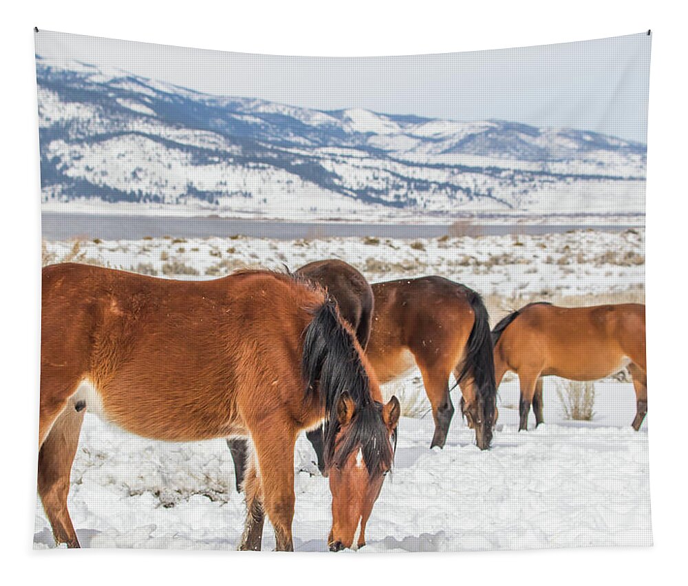 Nevada Tapestry featuring the photograph Grazing on a Cold Winter Morning by Marc Crumpler