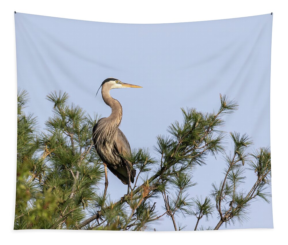 Great Blue Heron Tapestry featuring the photograph Great Blue Heron 2019-13 by Thomas Young