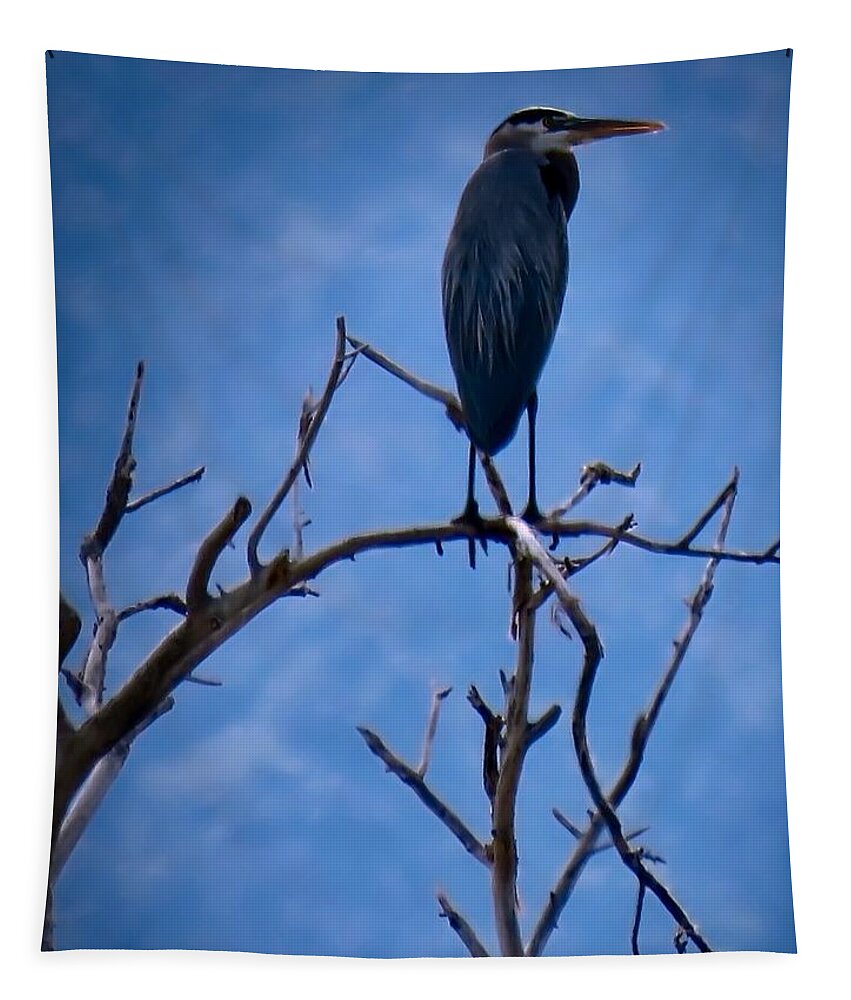 Arizona Tapestry featuring the photograph Great Blue Heron 3 by Judy Kennedy