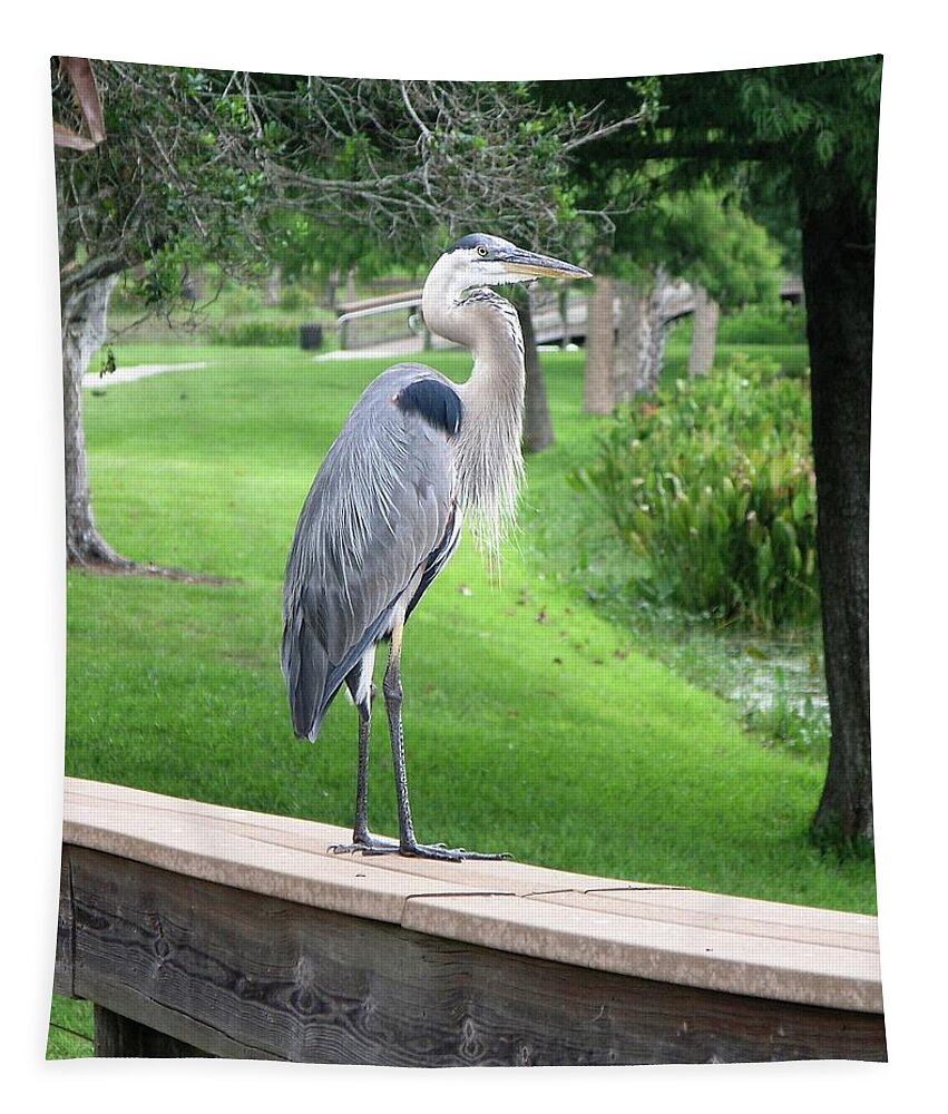 Heron Tapestry featuring the photograph Great Blue Heron, Central Florida by Philip And Robbie Bracco