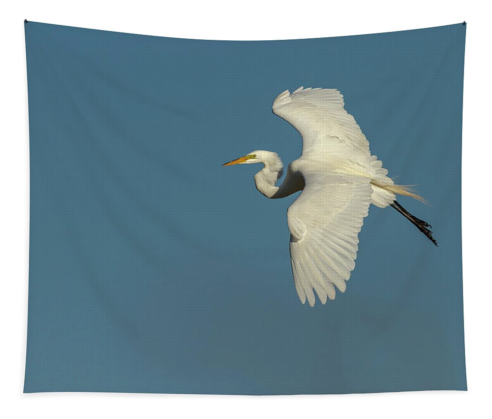 Great Egret Tapestry featuring the photograph Great Egret 2014-9 by Thomas Young