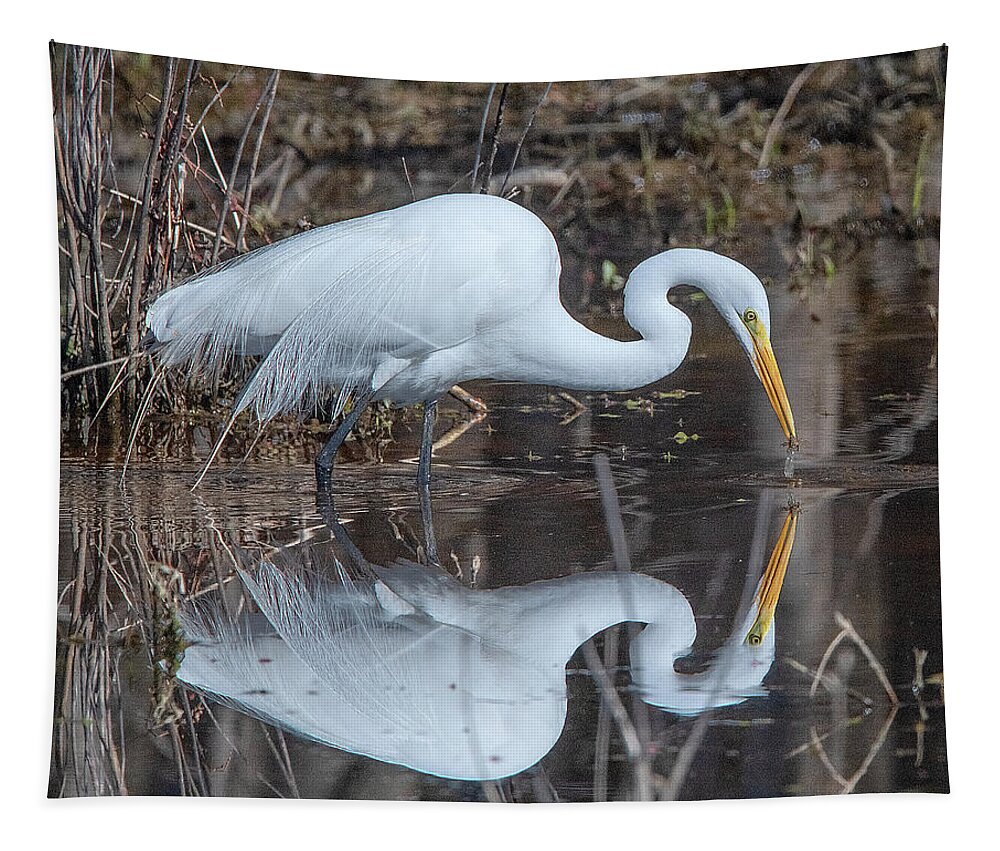 Nature Tapestry featuring the photograph Great Egret in Breeding Plumage DMSB0154 by Gerry Gantt