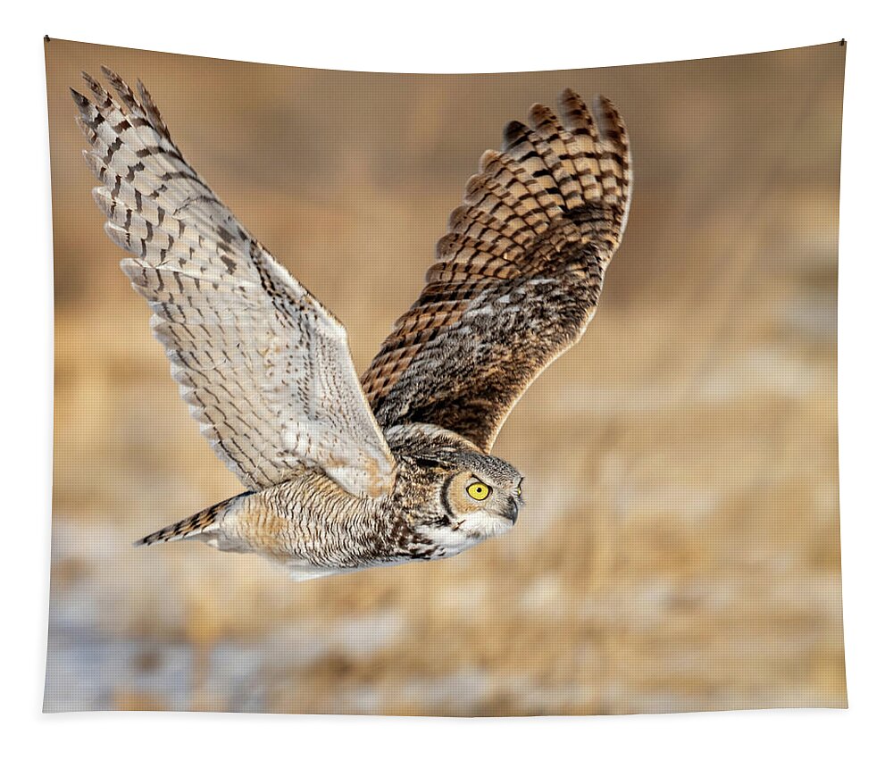 Great Horned Owl Tapestry featuring the photograph Great Horned Owl in Flight by Judi Dressler