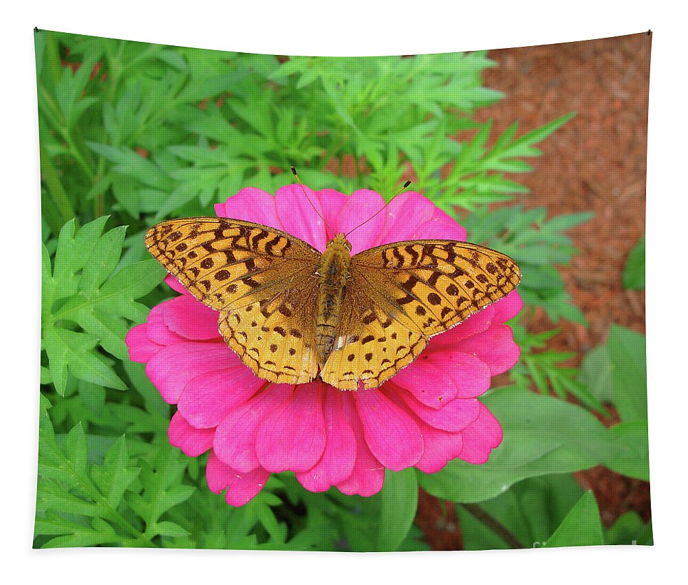 Great Spangled Fritillary Tapestry featuring the photograph Great Spangled Fritillary and Zinnia 3 by Amy E Fraser