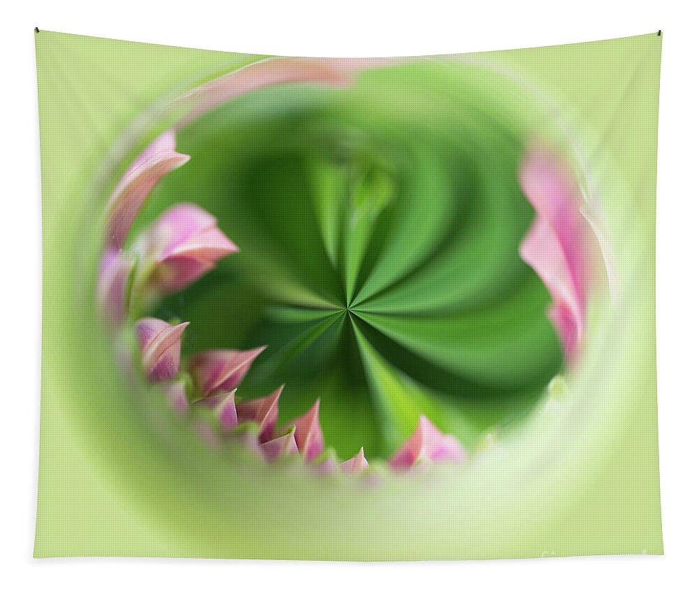 Orb Tapestry featuring the photograph Green and pink orb image by Phillip Rubino