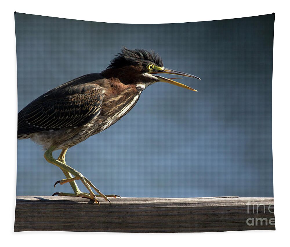 Green Heron Tapestry featuring the photograph Green Heron by Meg Rousher