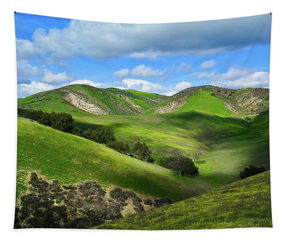 California Tapestry featuring the photograph Green Hills Santa Monica Mountains by Kyle Hanson
