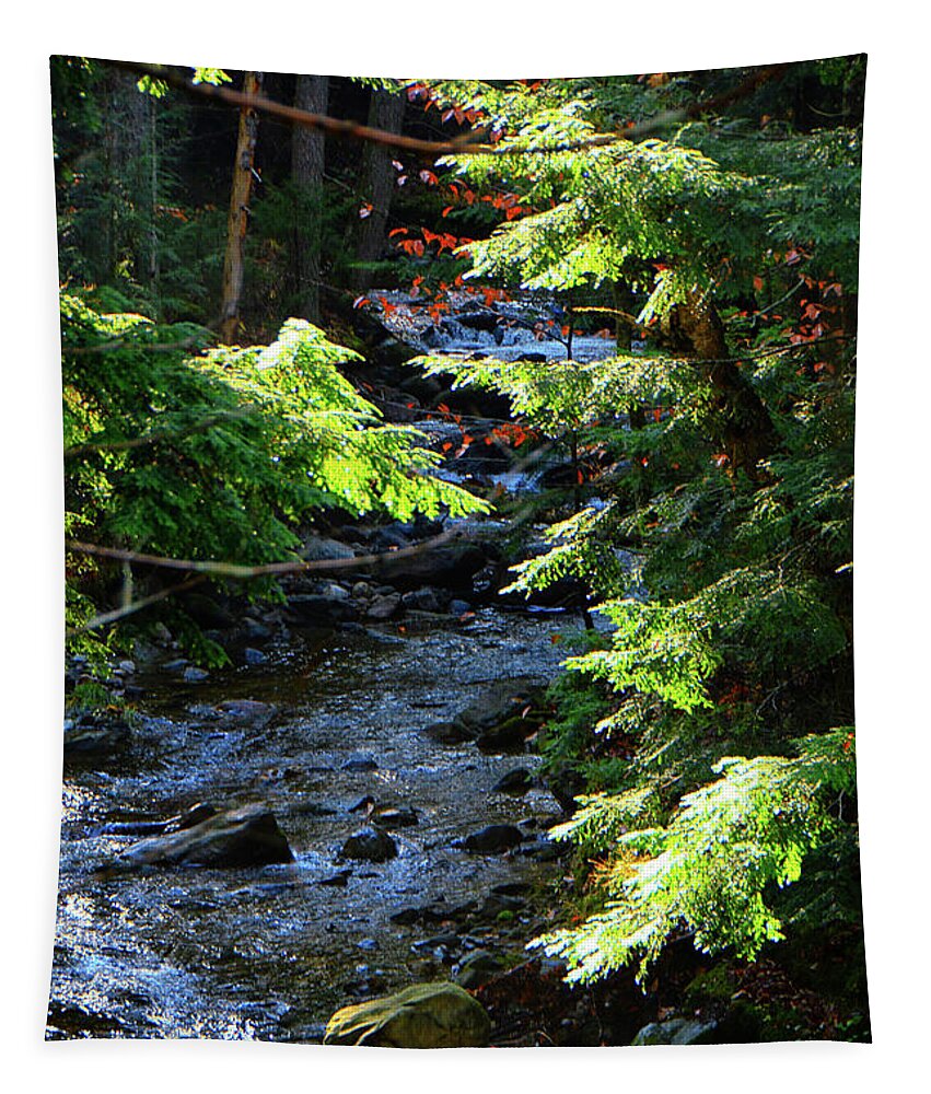 Green Mountain Water Tapestry featuring the photograph Green Mountain Water by Raymond Salani III