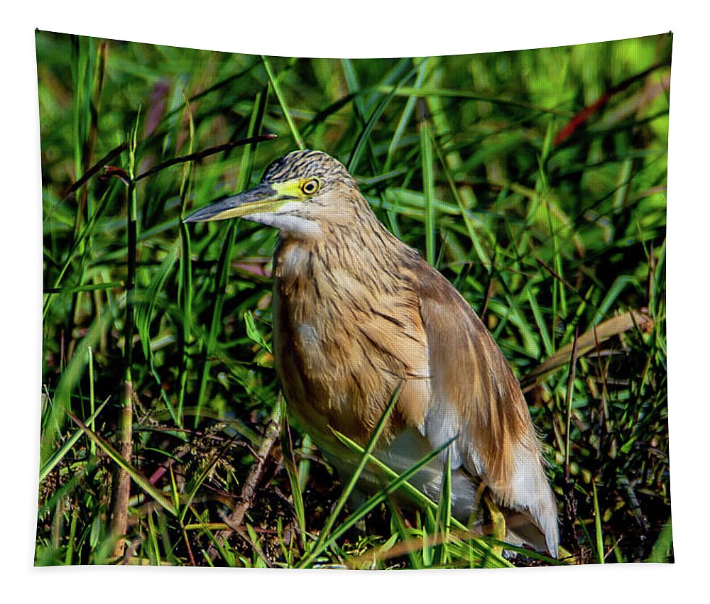  Tapestry featuring the photograph Green Sandpiper by Marcy Wielfaert