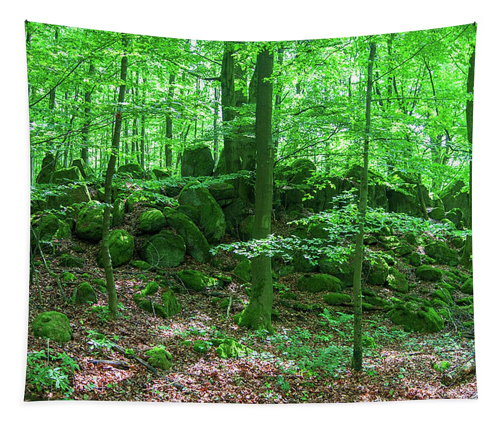 Forest Tapestry featuring the photograph Green stony forest in Vogelsberg by Sun Travels
