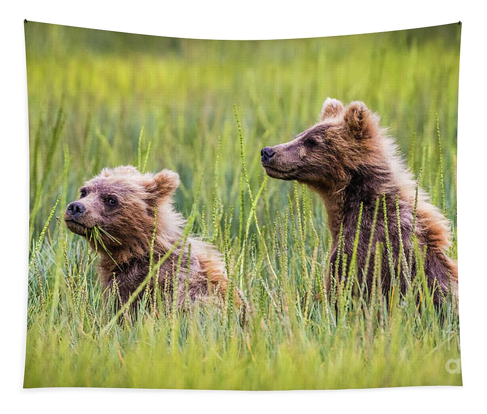 Grizzly Tapestry featuring the photograph Grizzly cubs by Lyl Dil Creations