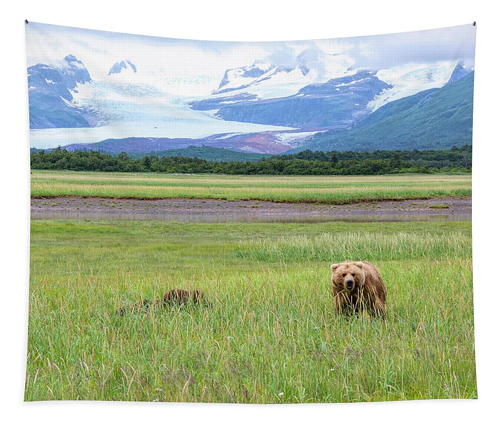 Grizzly Tapestry featuring the photograph Grizzlies and Glaciers by Mark Harrington