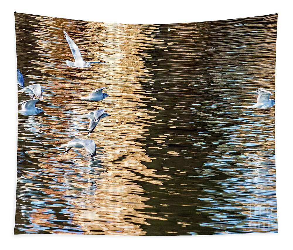 Gulls Tapestry featuring the photograph Gulls Over Reflections by Kate Brown