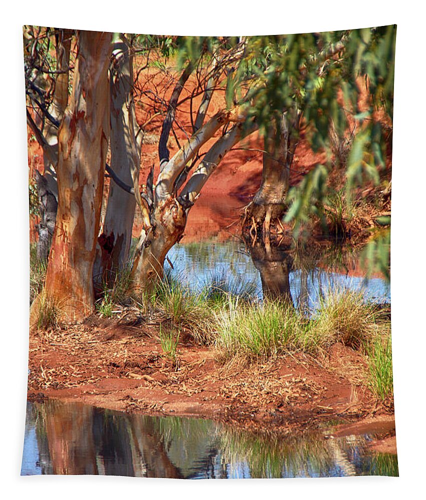 Gum Tree Reflection Tapestry featuring the photograph Gum Tree Reflection by Douglas Barnard