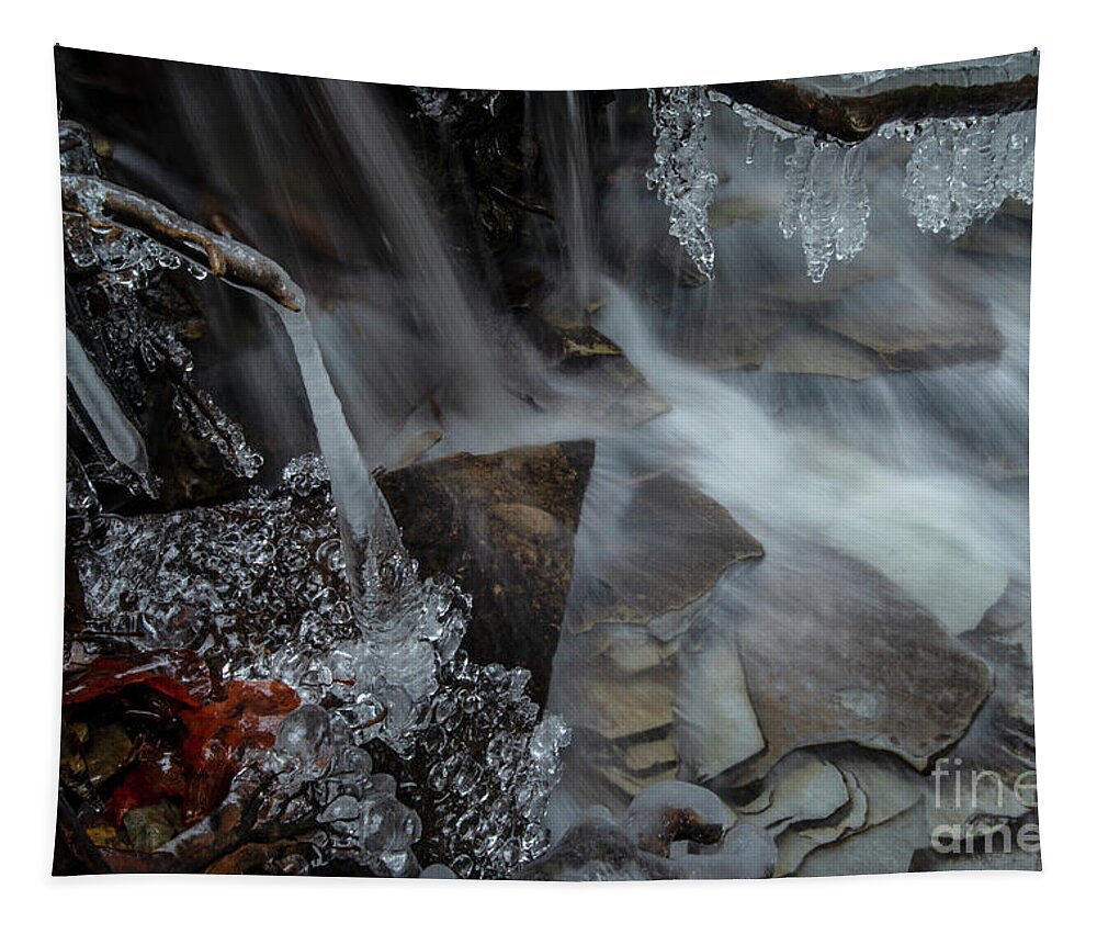 Water Tapestry featuring the photograph H2O Wonderland by Jane Axman