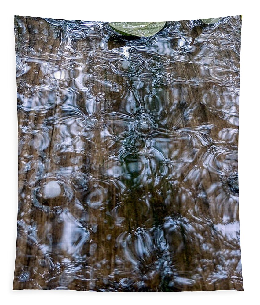 Hail Tapestry featuring the photograph Hail Fluidity by Ivars Vilums