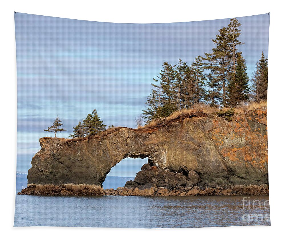 Halibut Cove Tapestry featuring the photograph Halibut Cove rock formation Kenai Peninsula Alaska by Louise Heusinkveld