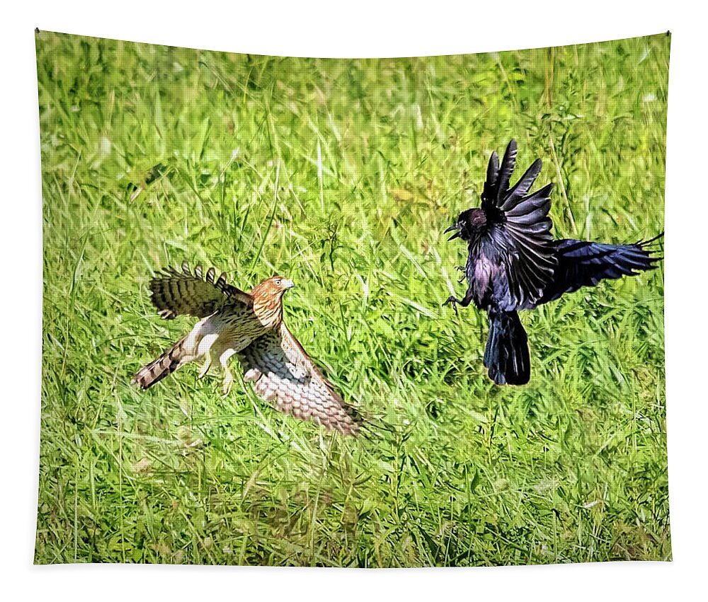 Hawk Tapestry featuring the photograph Hawk Attacks Crow by Deborah Penland