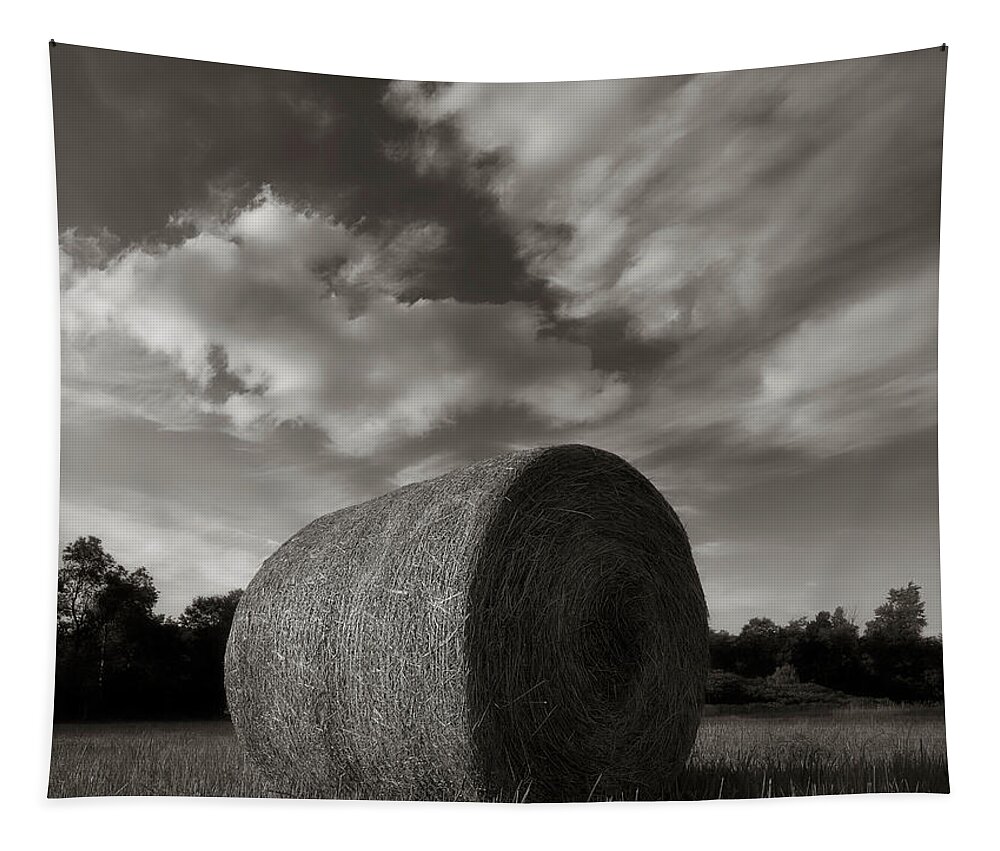 Hay Tapestry featuring the photograph Hay Bale 2 by Jerry LoFaro