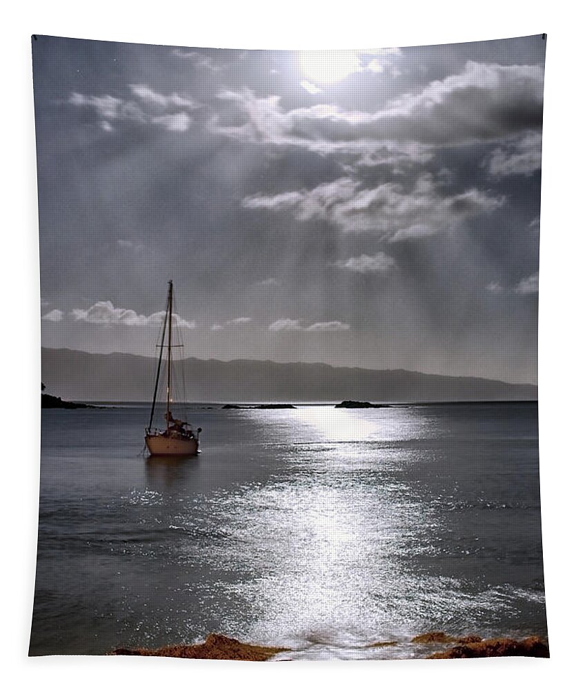 Moonlight Tapestry featuring the photograph He Calms the Ocean by Jayson Tuntland