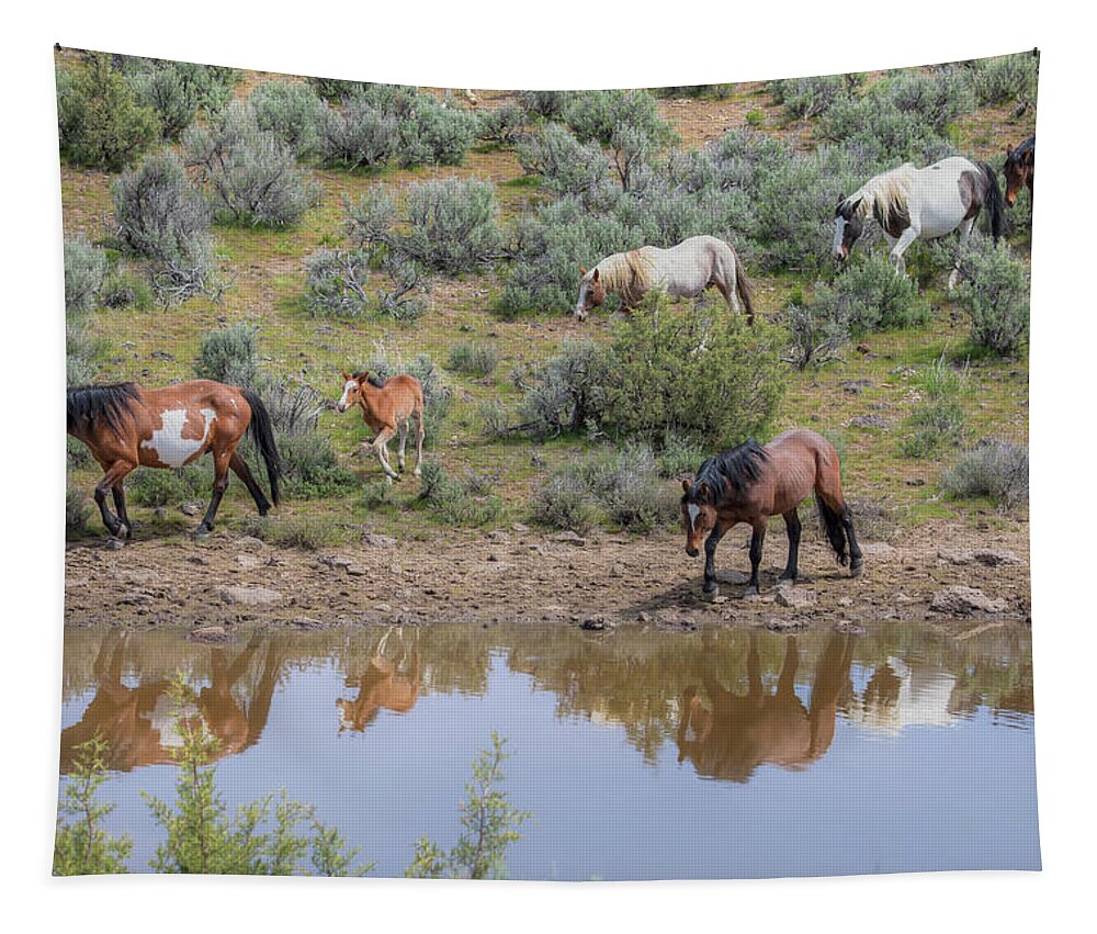 Wild Horses Tapestry featuring the photograph Heading to the Waterhole - South Steens Mustangs 0989 by Kristina Rinell