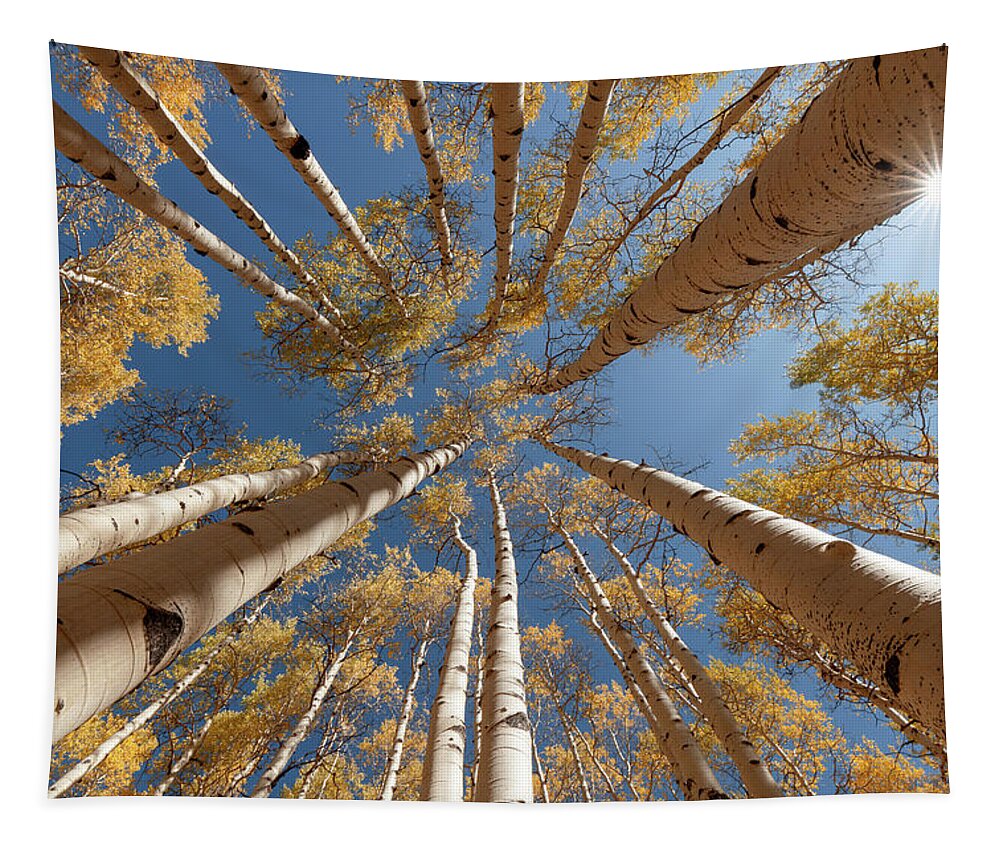 Aspens Tapestry featuring the photograph Heavenward by Dustin LeFevre