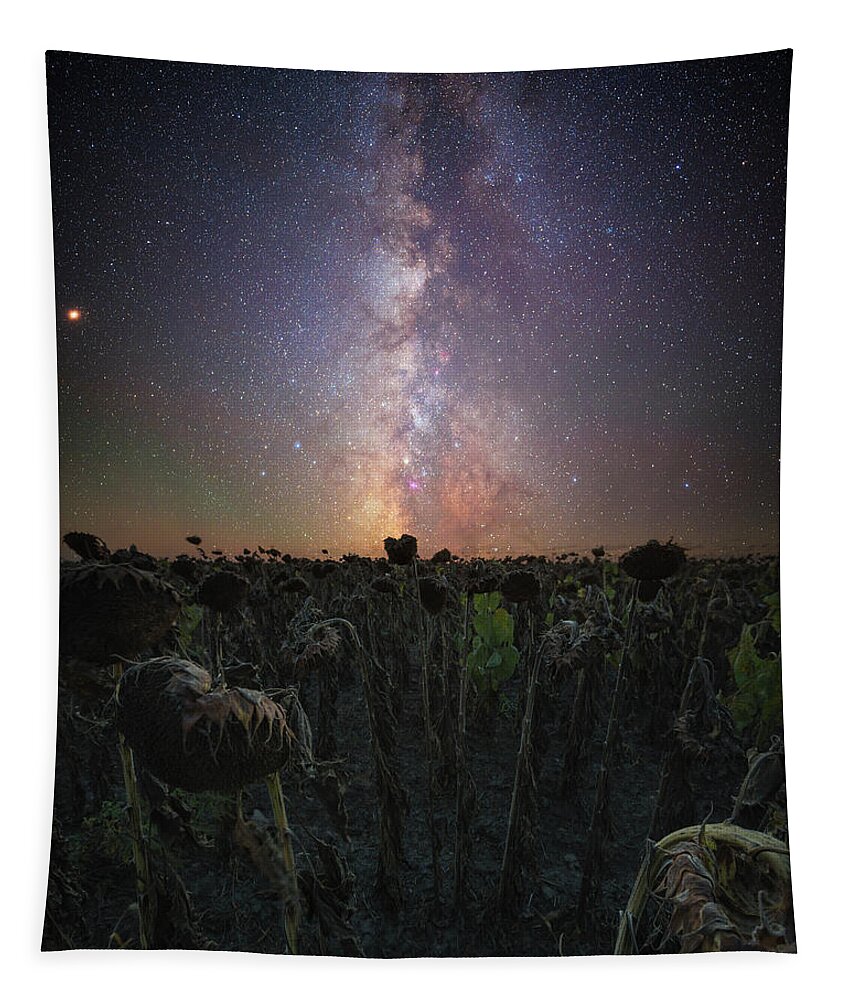 Milky Way Tapestry featuring the photograph Hello,My name is Human by Aaron J Groen