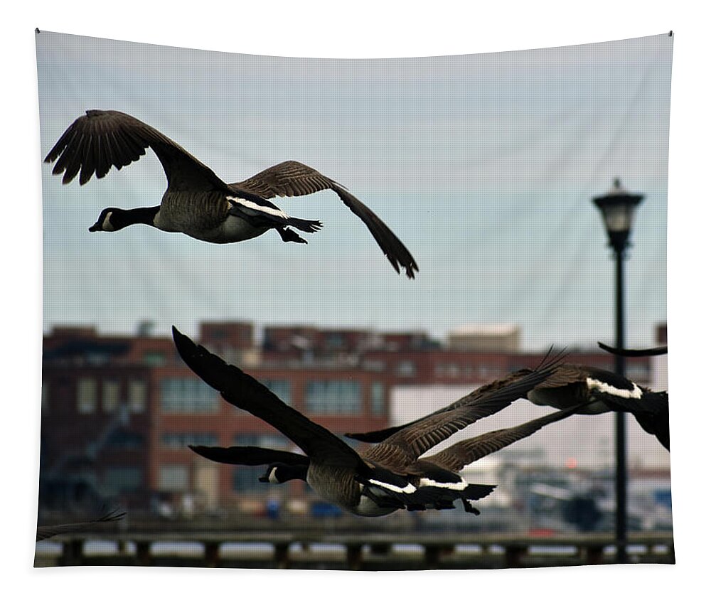 Bird Tapestry featuring the photograph Heralding Springs Arrival by Vicky Edgerly