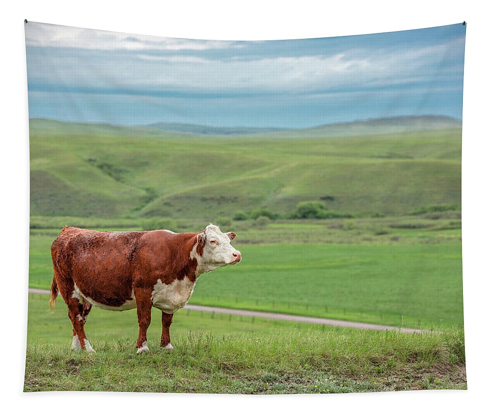 Hereford Tapestry featuring the photograph Hereford Hill by Todd Klassy