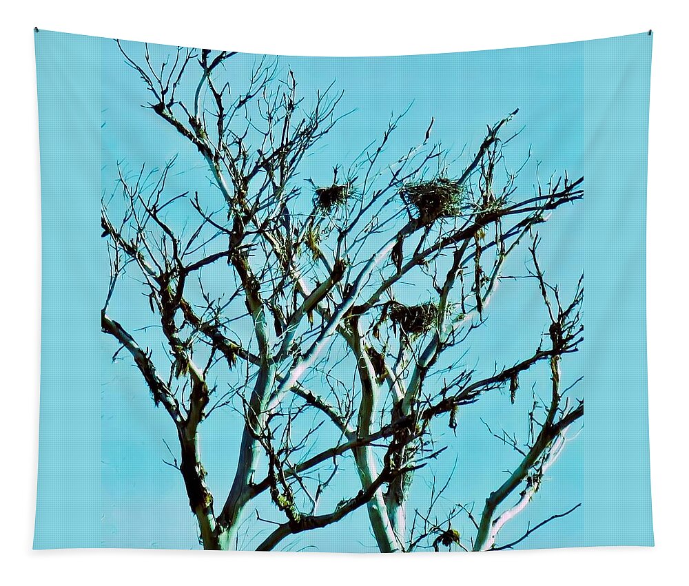 Arizona Tapestry featuring the photograph Heron Nests by Judy Kennedy