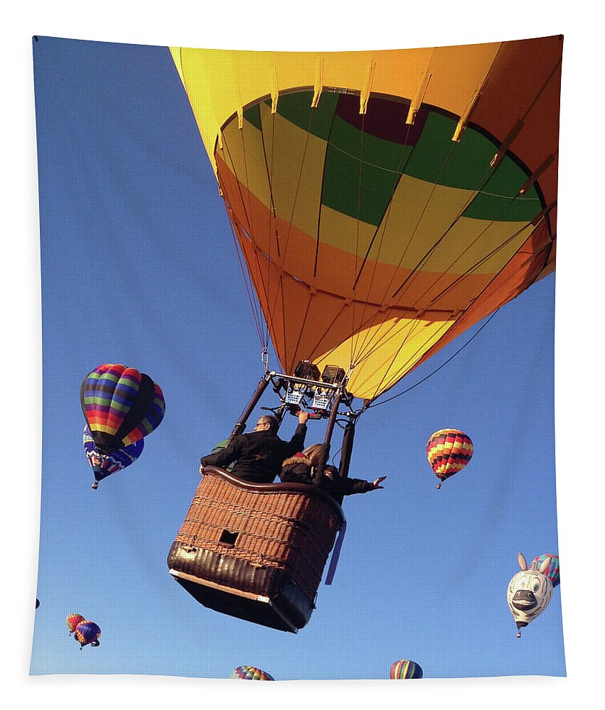 Albuquerque Tapestry featuring the photograph Hi From Up High by Mike Long