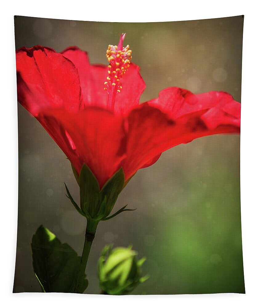 Hibiscus Tapestry featuring the photograph Hibiscus Flower by Carlos Caetano