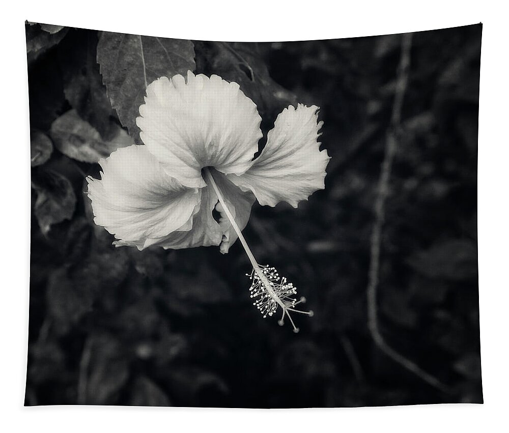 Hibiscus Tapestry featuring the photograph Hibiscus Flower in Black and White by Catherine Reading