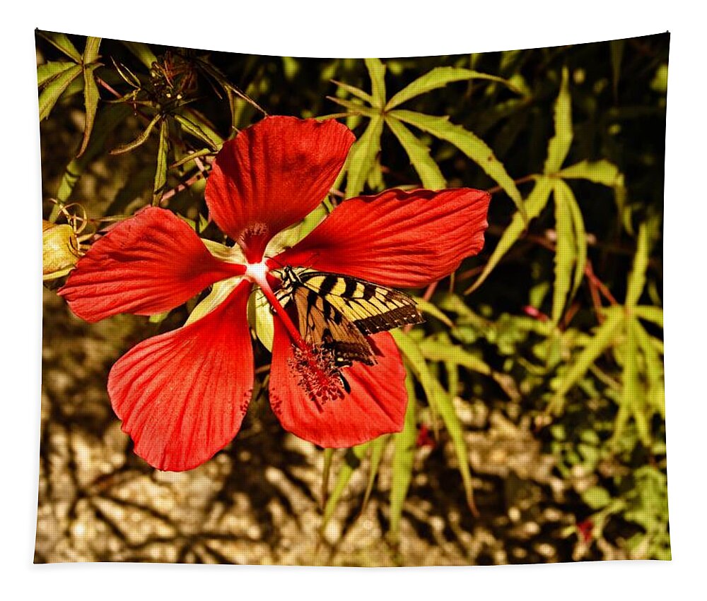 Hibiscus Tapestry featuring the photograph Hibiscus Visitor by Allen Nice-Webb