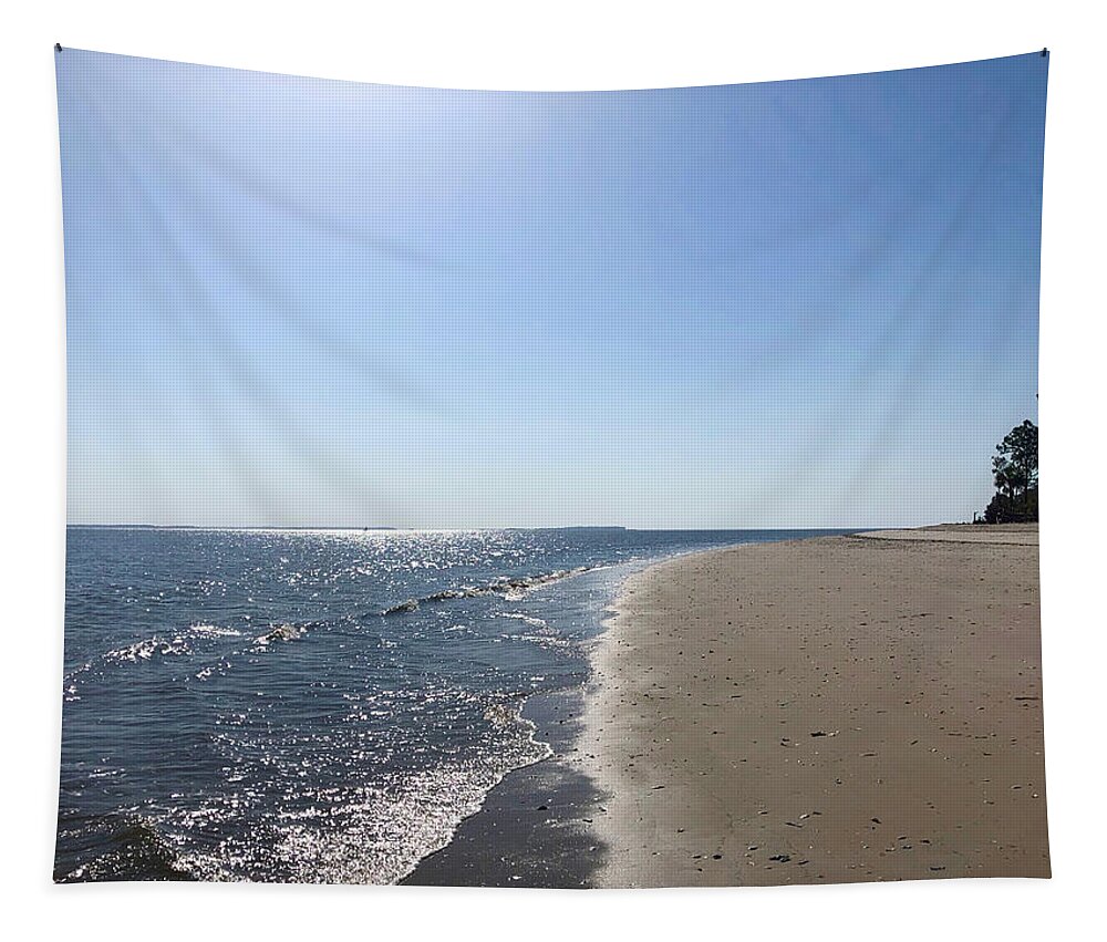 Hidden Beach Tapestry featuring the photograph Hidden Beach on Pine Island at Dolphin Head by Dennis Schmidt