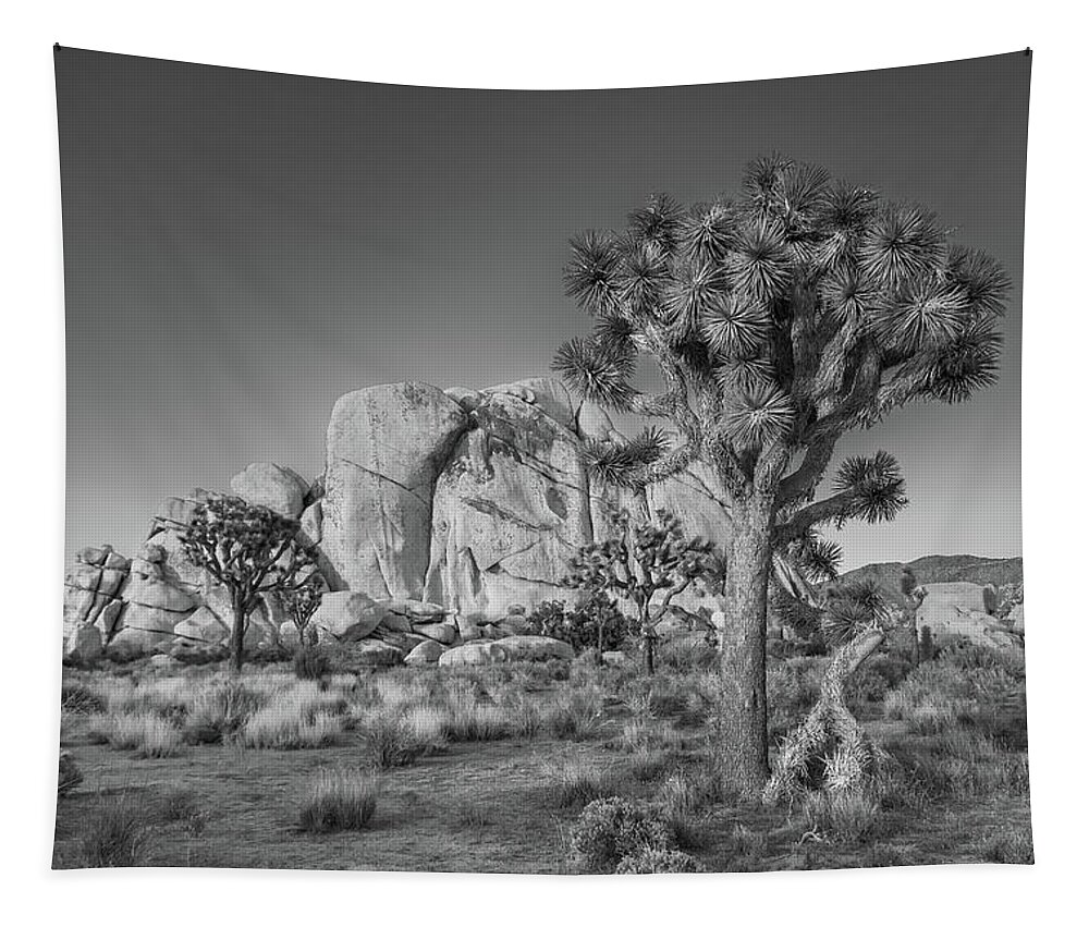 California Tapestry featuring the photograph Hidden Valley Rock by Peter Tellone