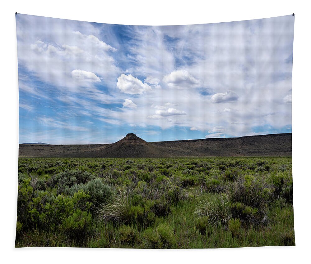 Oregon Tapestry featuring the photograph High Desert Horizon by Steven Clark